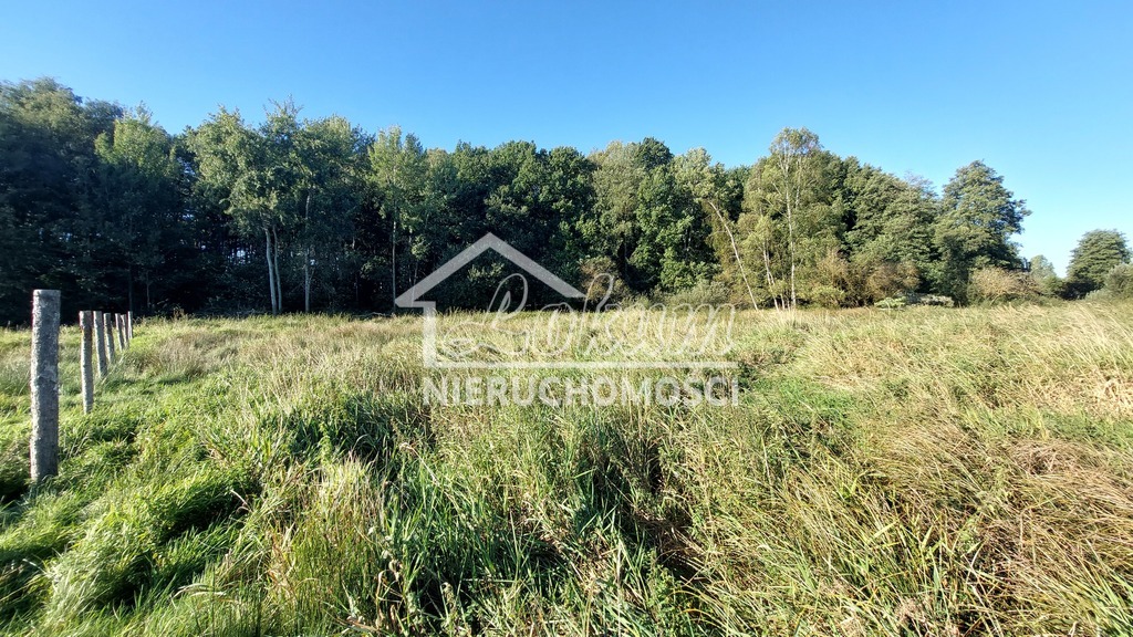 Działka budowlana 1532&nbsp;m², Dobra - zdjęcie 1