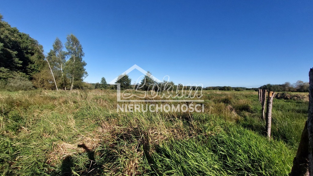 Działka budowlana 1532&nbsp;m², Dobra - zdjęcie 2