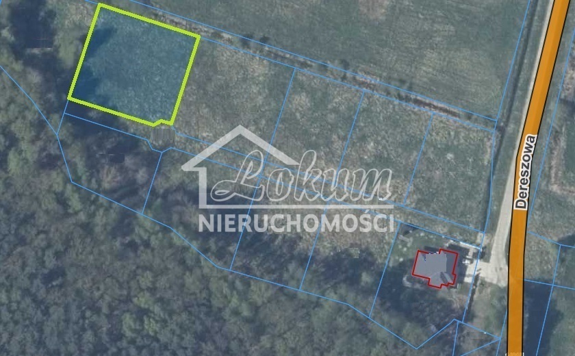 Działka budowlana 1532&nbsp;m², Dobra - zdjęcie 3