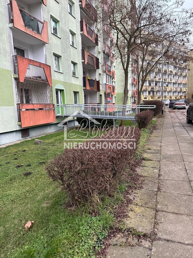 Mieszkanie 65,5&nbsp;m², Szczecin, Żelechowa, Ks. bpa Władysława Bandurskiego - zdjęcie 14