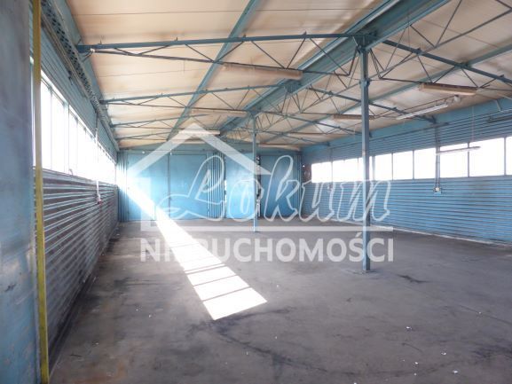 Magazyn na sprzedaż, 1400&nbsp;m², Mierzyn - zdjęcie 12