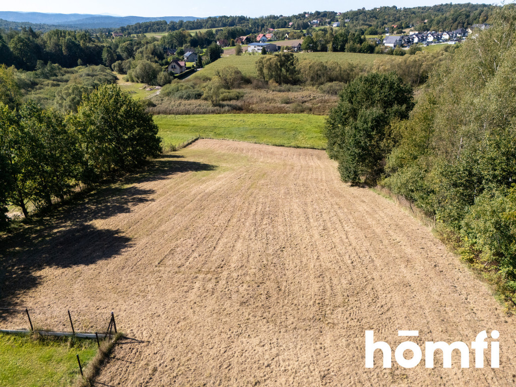 Działka budowlana 4554 m², Olszowice, Bystra - zdjęcie 15