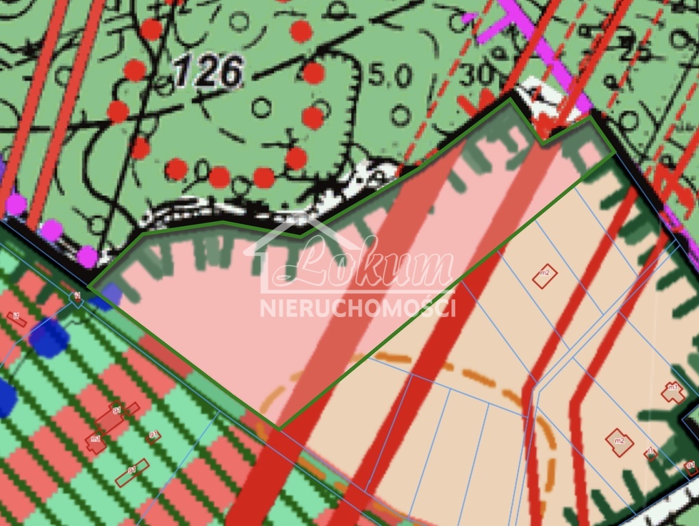 Działka rolna 3,37&nbsp;ha, Szczecin - zdjęcie 6