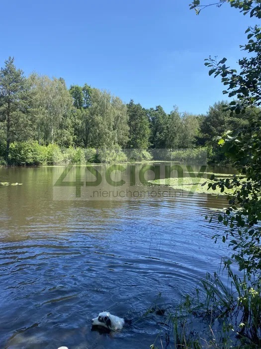 Działka budowlana 2,18 ha, Janinów - zdjęcie 1