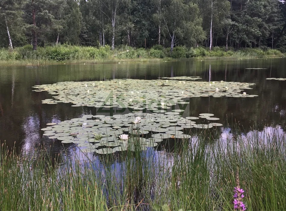 Działka budowlana 2,18 ha, Janinów - zdjęcie 7