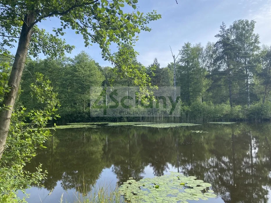 Działka budowlana 2,18 ha, Janinów - zdjęcie 5
