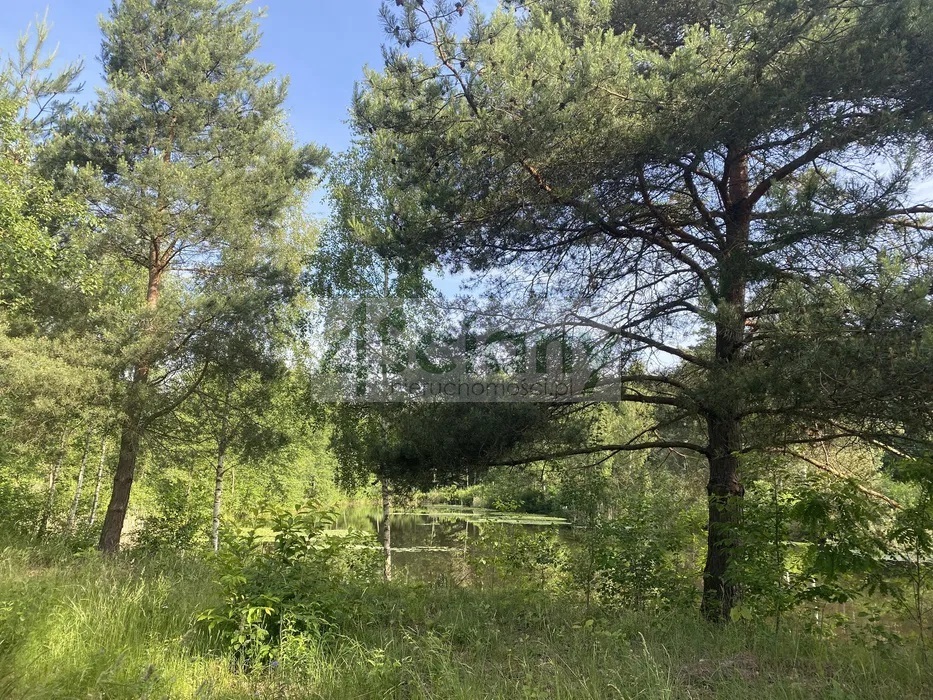 Działka budowlana 2,18 ha, Janinów - zdjęcie 2
