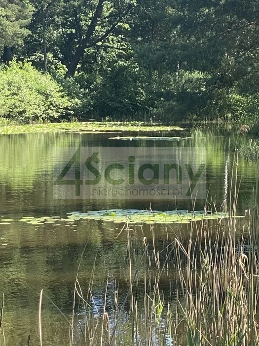 Działka budowlana 2,18 ha, Janinów - zdjęcie 3