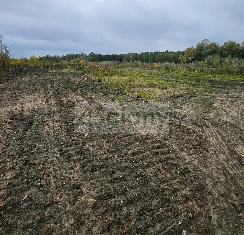 Działka budowlana 4,61 ha, Żółwin - zdjęcie 3