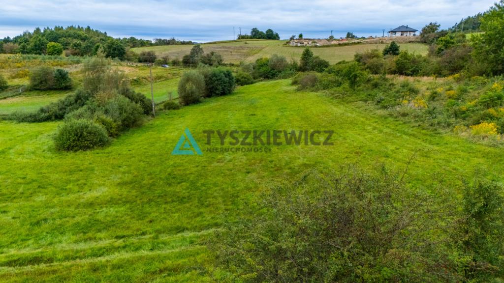 Działka rolna na obrzeżach miasta - zdjęcie 8