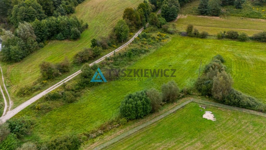 Działka rolna na obrzeżach miasta - zdjęcie 3