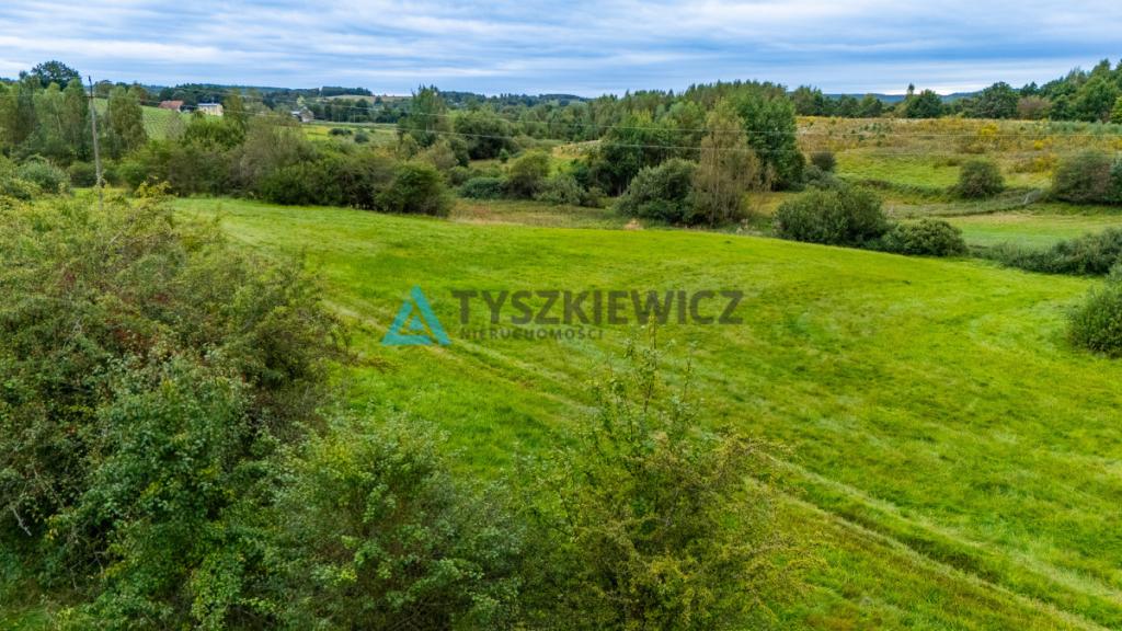 Działka rolna na obrzeżach miasta - zdjęcie 9
