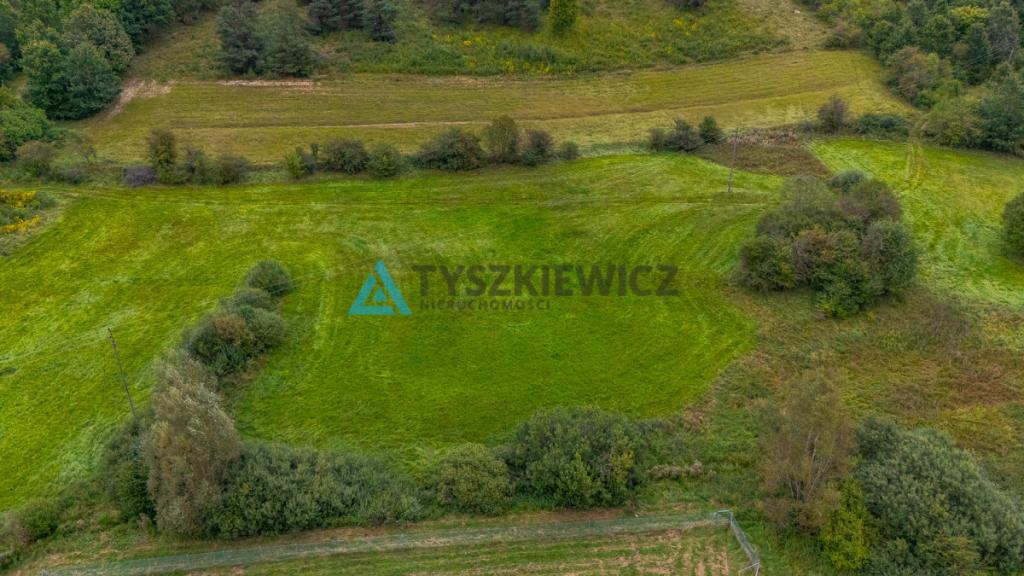 Działka rolna na obrzeżach miasta - zdjęcie 2