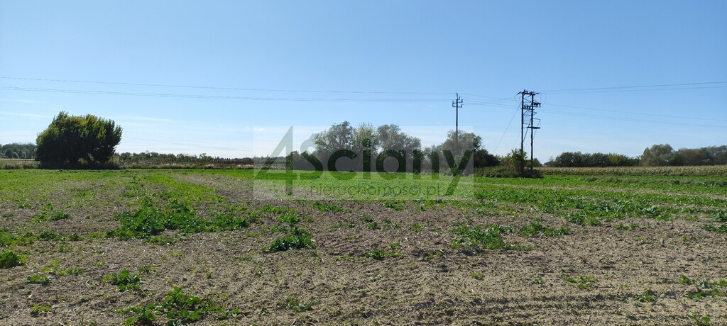 Dom 145 m², Bieniewo-Parcela - zdjęcie 3