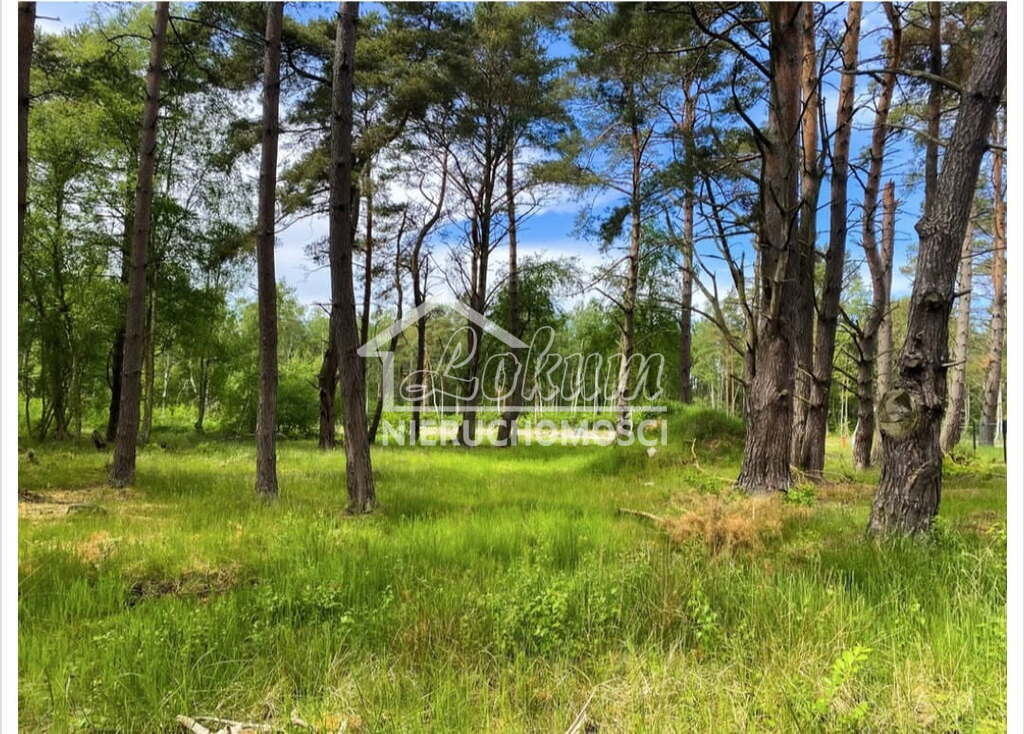 Działka budowlana 1248&nbsp;m², Dziwnów - zdjęcie 3