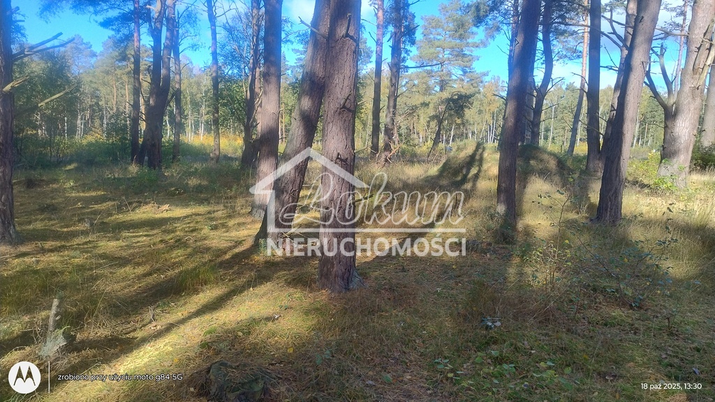 Działka budowlana 1248&nbsp;m², Dziwnów - zdjęcie 1