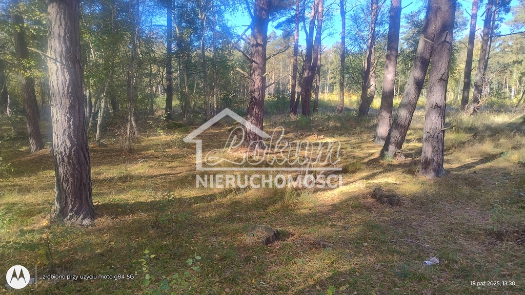 Działka budowlana 1248&nbsp;m², Dziwnów - zdjęcie 2