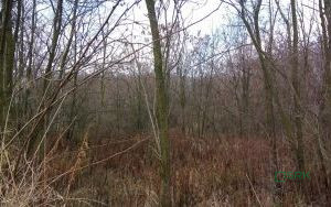 Działka inwestycyjna 6,05 ha, Wojkowice, Karłowicza - zdjęcie 2