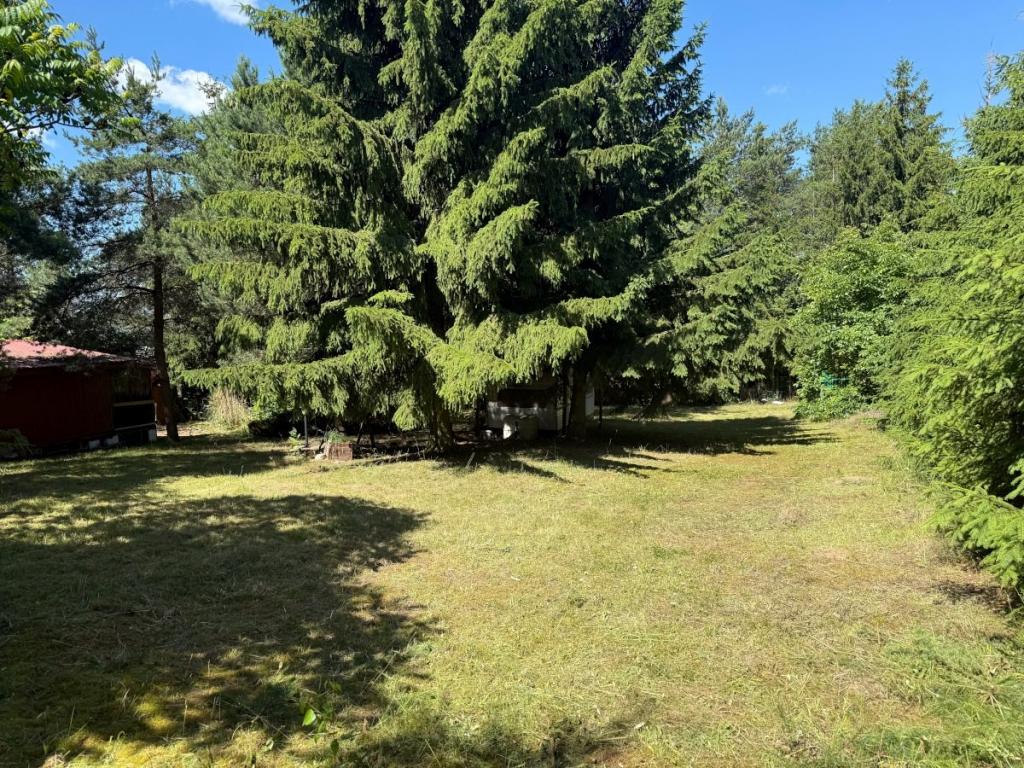 Dom 4089 m², Kruklanki - zdjęcie 13