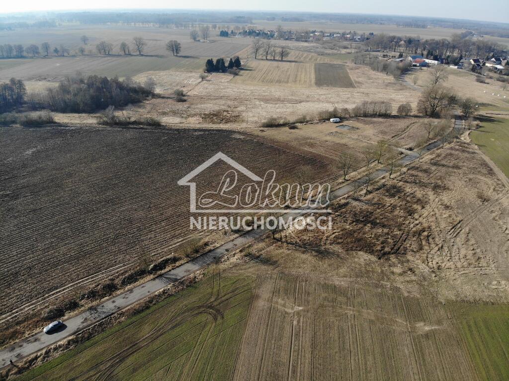 Działka rolna 2923 m², Dębice - zdjęcie 2