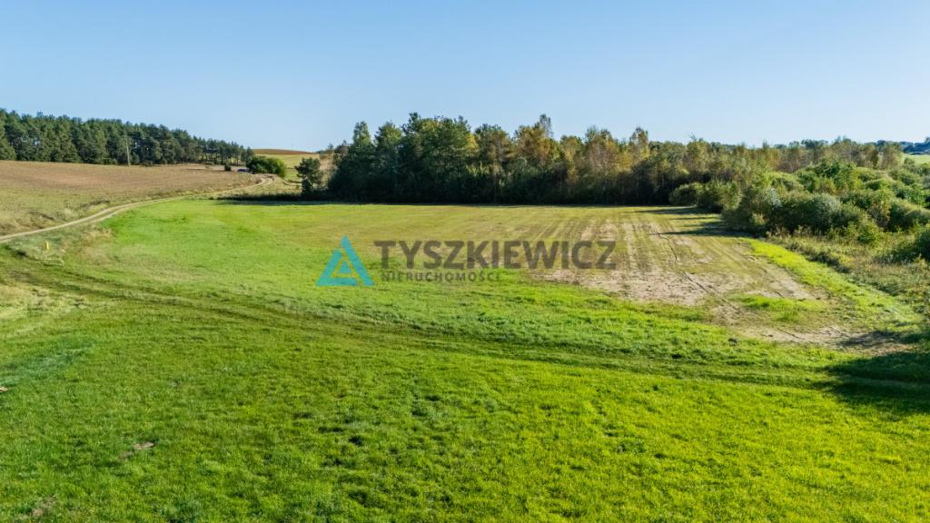 Malowniczo położona działka rolna w Lipnicy - zdjęcie 17