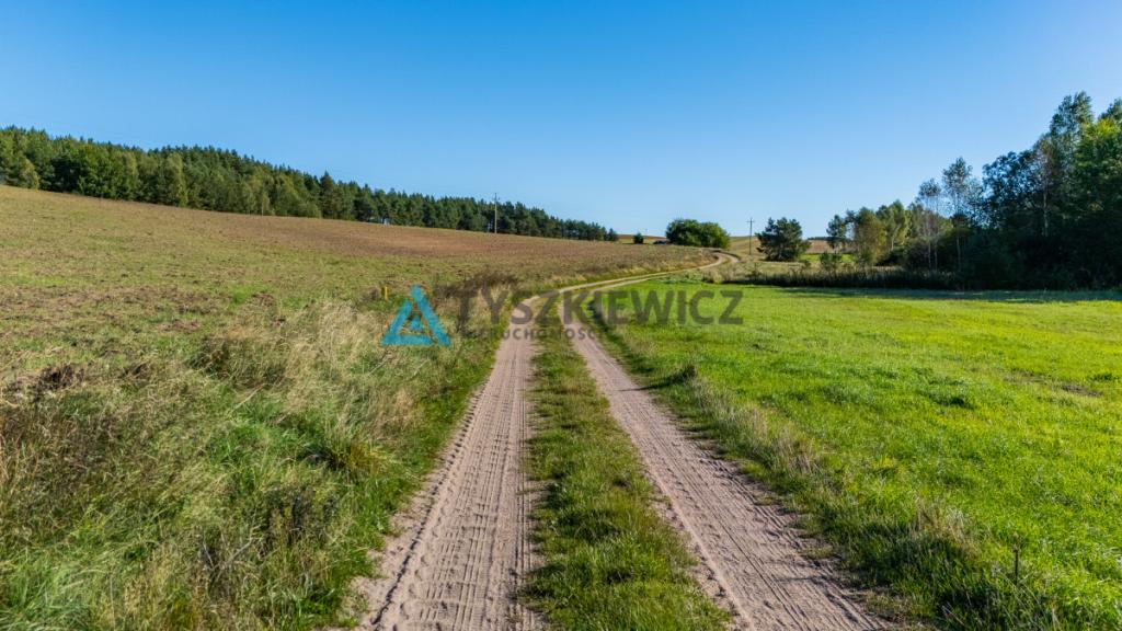Malowniczo położona działka rolna w Lipnicy - zdjęcie 20