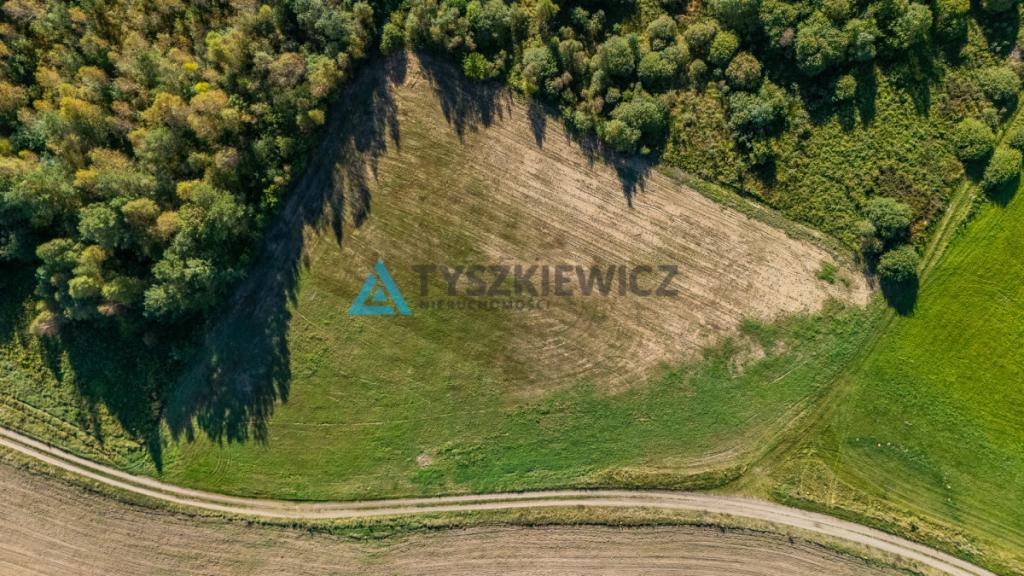 Malowniczo położona działka rolna w Lipnicy - zdjęcie 13