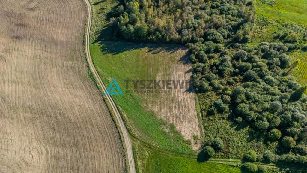 Malowniczo położona działka rolna w Lipnicy - zdjęcie 14