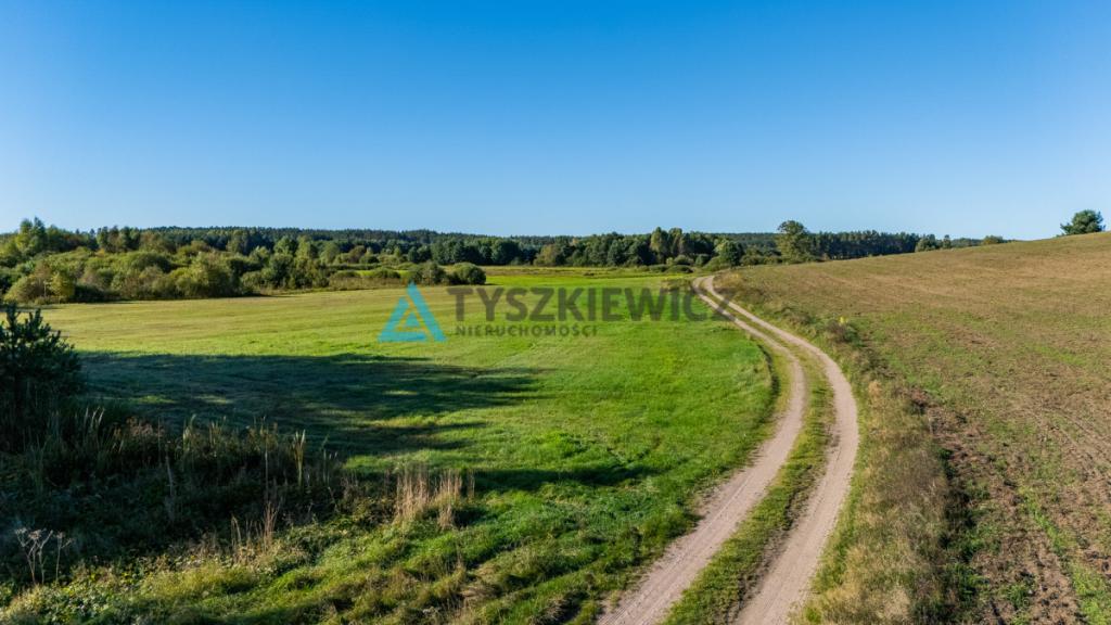 Malowniczo położona działka rolna w Lipnicy - zdjęcie 21