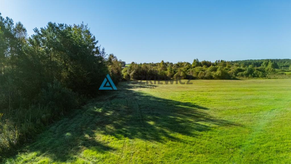 Malowniczo położona działka rolna w Lipnicy - zdjęcie 22