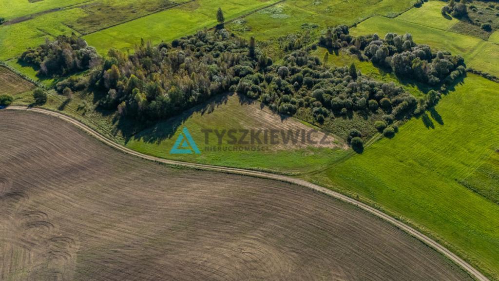 Malowniczo położona działka rolna w Lipnicy - zdjęcie 12