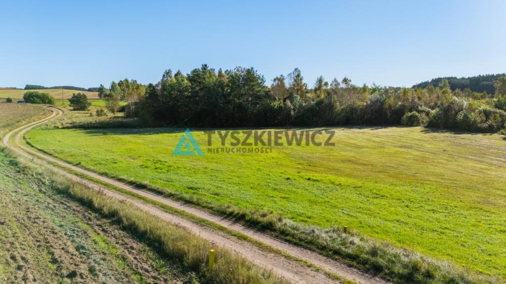 Malowniczo położona działka rolna w Lipnicy - zdjęcie 19