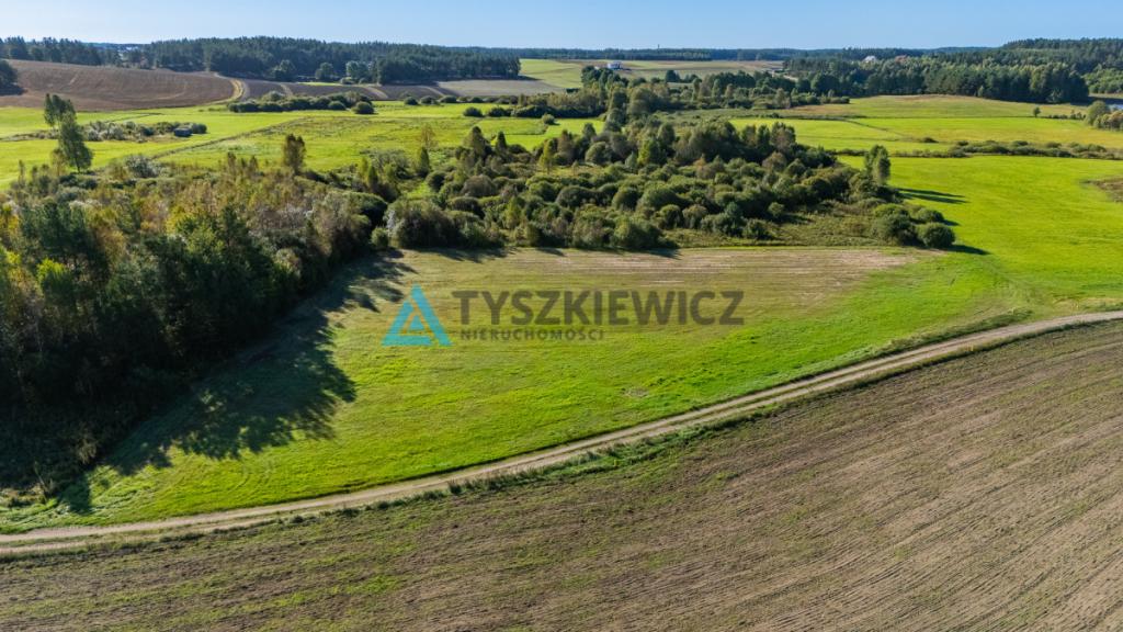 Malowniczo położona działka rolna w Lipnicy - zdjęcie 23