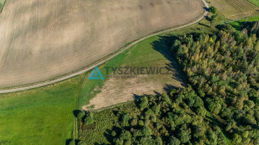 Malowniczo położona działka rolna w Lipnicy - zdjęcie 15