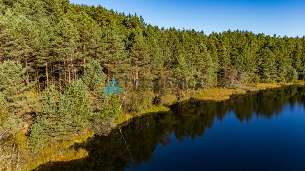 Las z własnym jeziorem - Nierostowo - zdjęcie 6