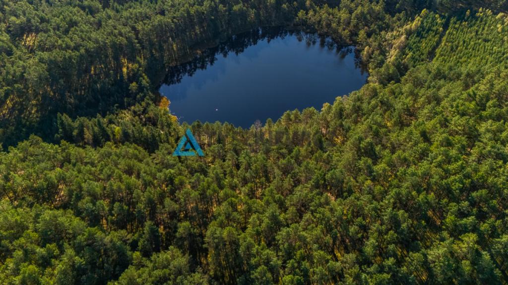 Las z własnym jeziorem - Nierostowo - zdjęcie 3