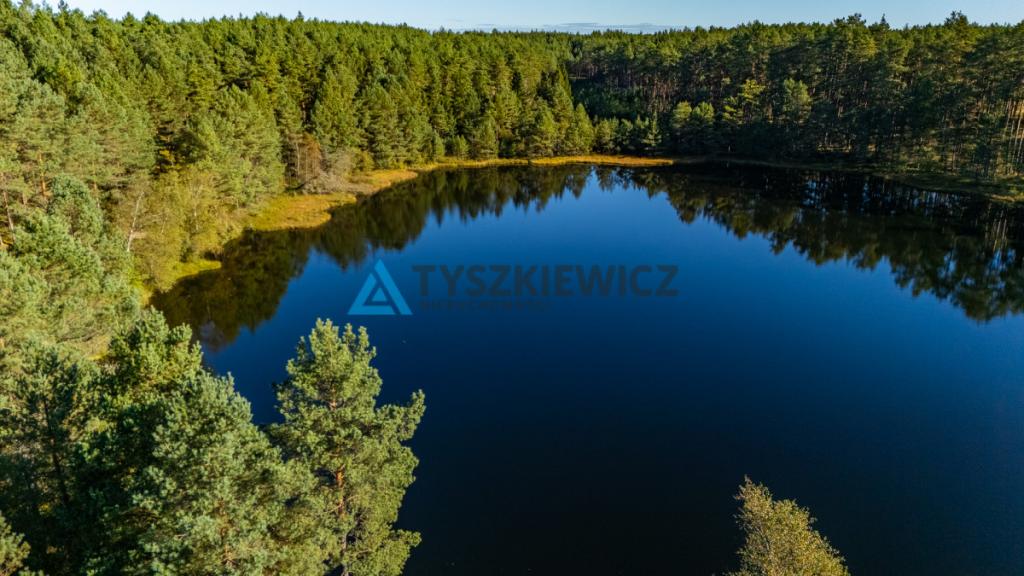 Las z własnym jeziorem - Nierostowo - zdjęcie 5
