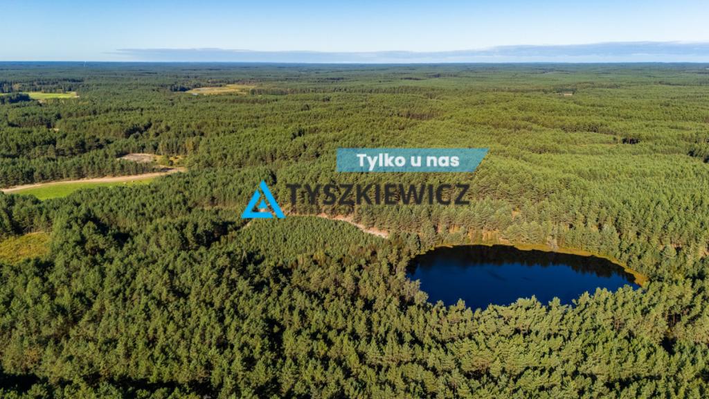 Las z własnym jeziorem - Nierostowo - zdjęcie 1