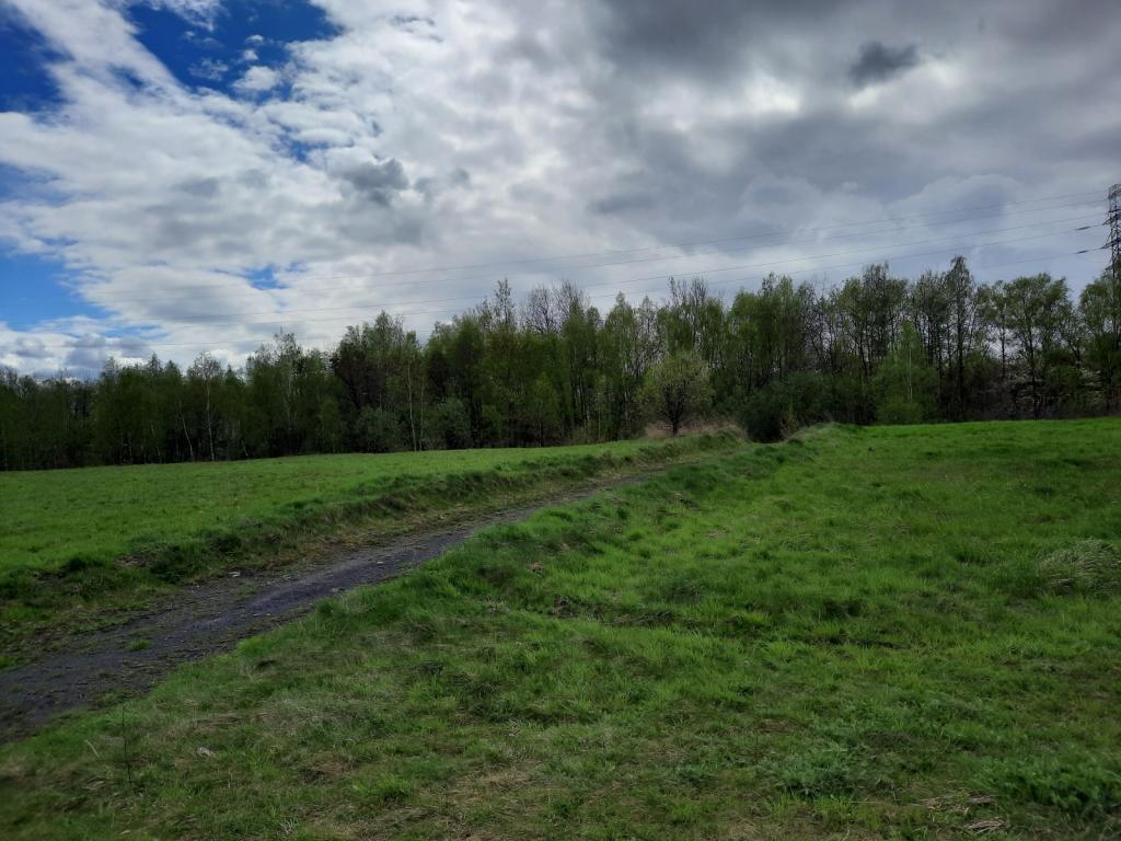 Działka inwestycyjna 6,87 ha, Jastrzębie-Zdrój, Szybowa - zdjęcie 3