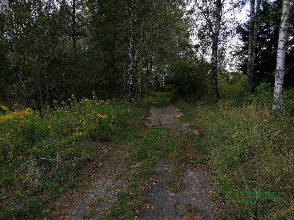 Działka inwestycyjna 2,02&nbsp;ha, Mszana, Wodzisławska - zdjęcie 5