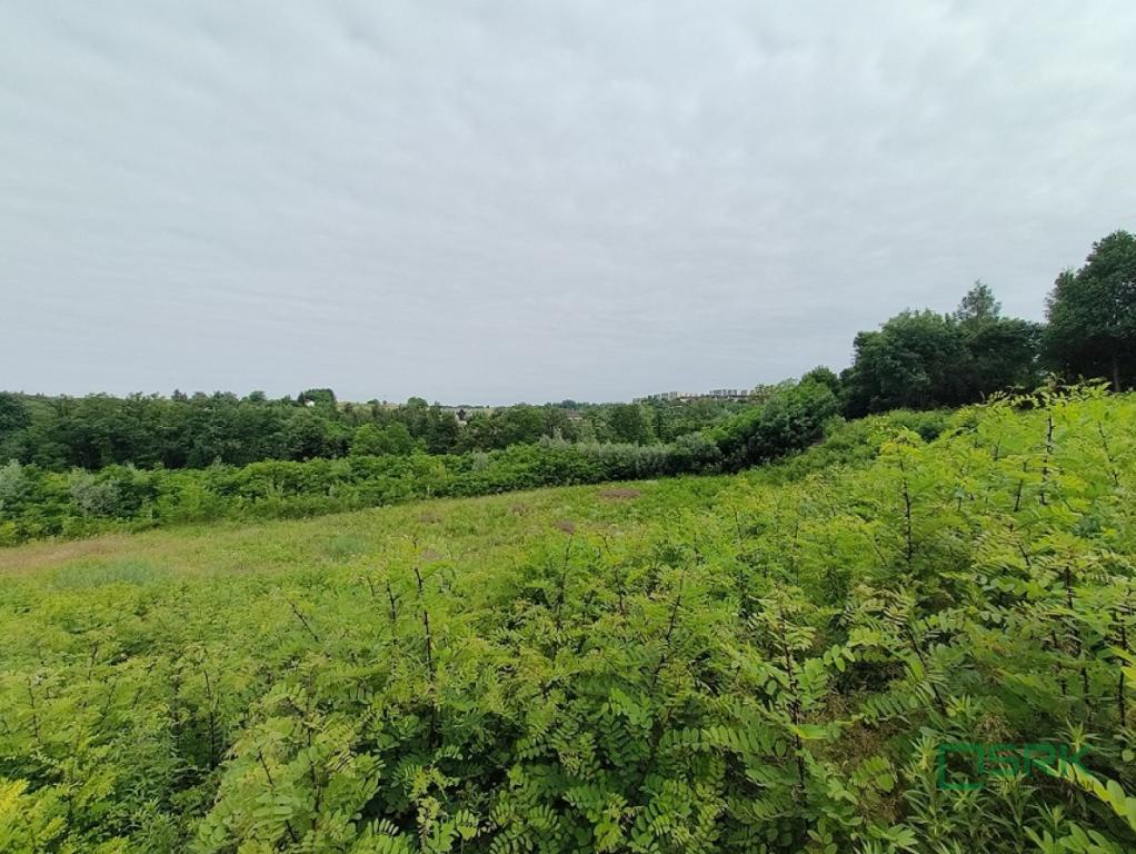 Działka inwestycyjna 2,55 ha, Pszów, Karola Miarki - zdjęcie 4