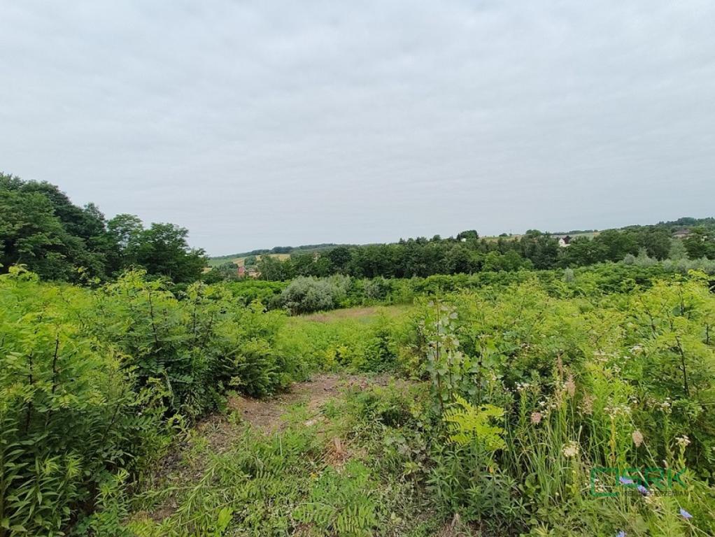 Działka inwestycyjna 2,55 ha, Pszów, Karola Miarki - zdjęcie 2