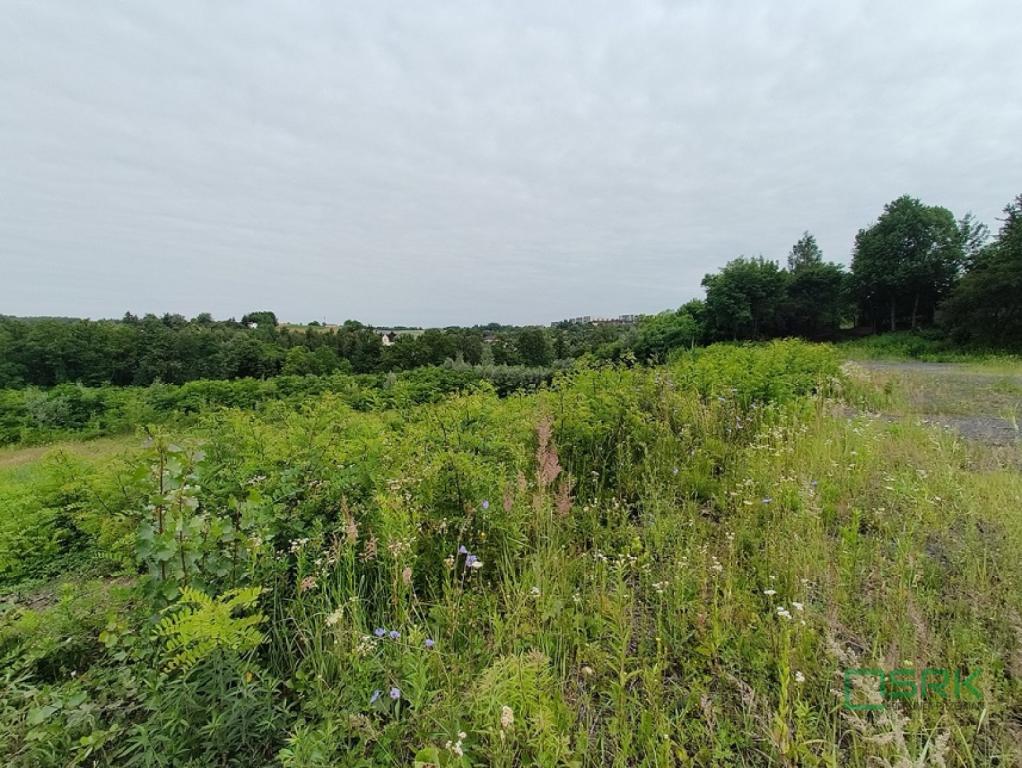 Działka inwestycyjna 2,55 ha, Pszów, Karola Miarki - zdjęcie 3