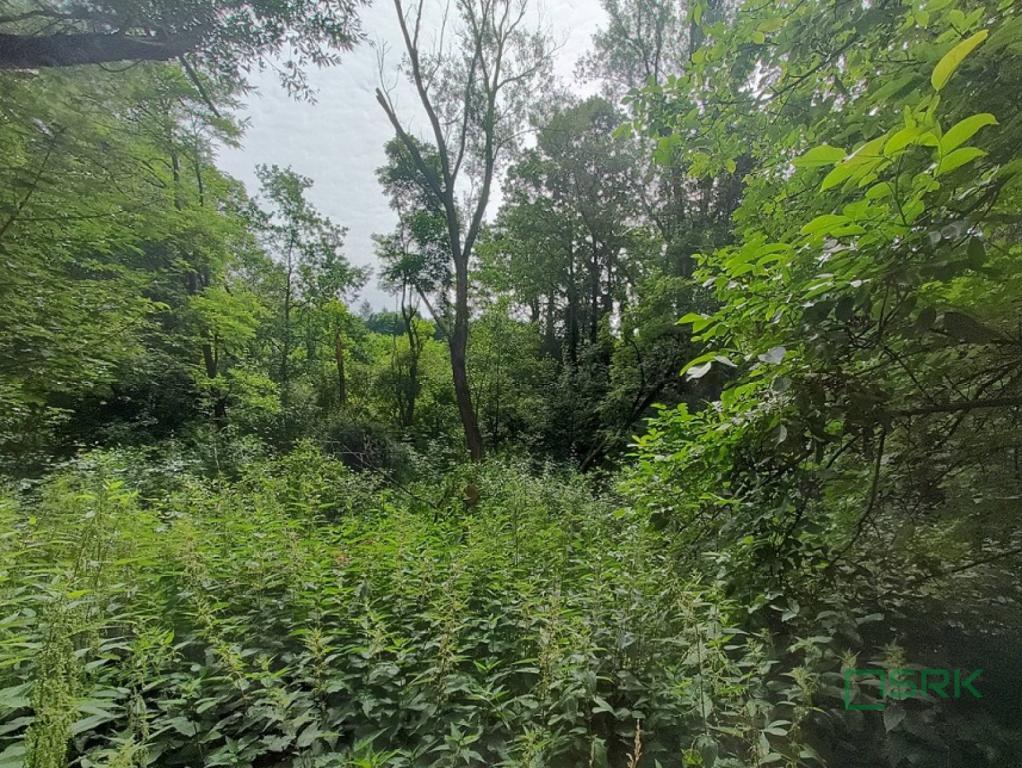 Działka inwestycyjna 4,24 ha, Pszów, Łukasiewicza - zdjęcie 2
