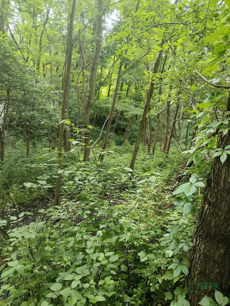 Działka inwestycyjna 4,24 ha, Pszów, Łukasiewicza - zdjęcie 3