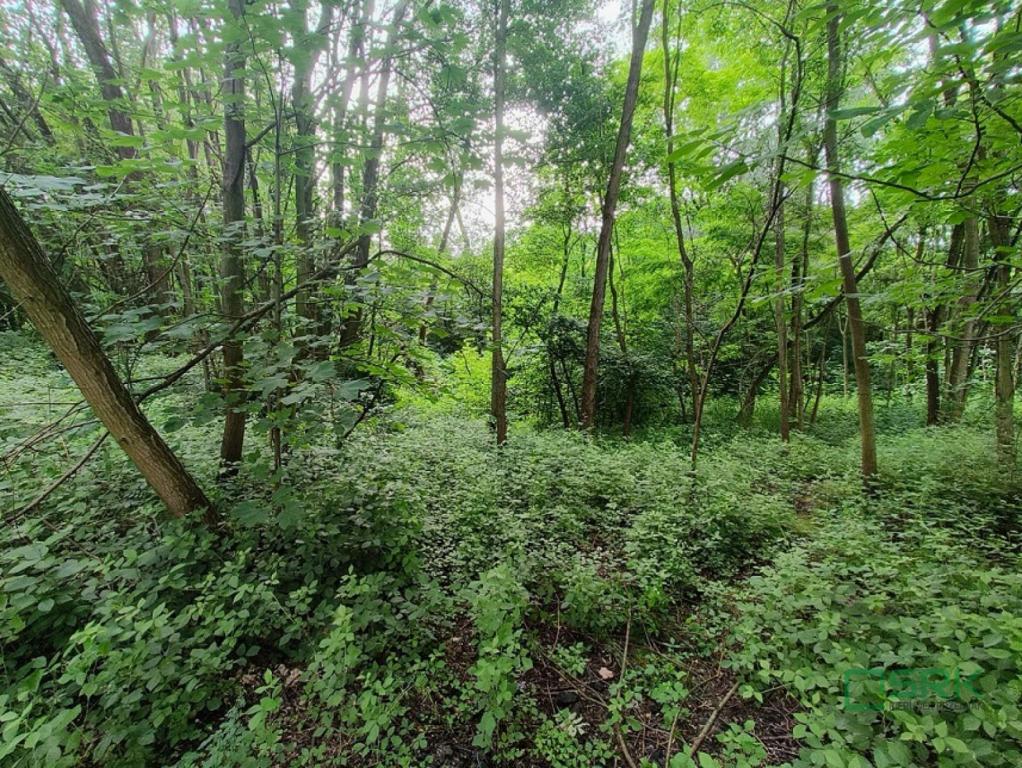 Działka inwestycyjna 4,24 ha, Pszów, Łukasiewicza - zdjęcie 4