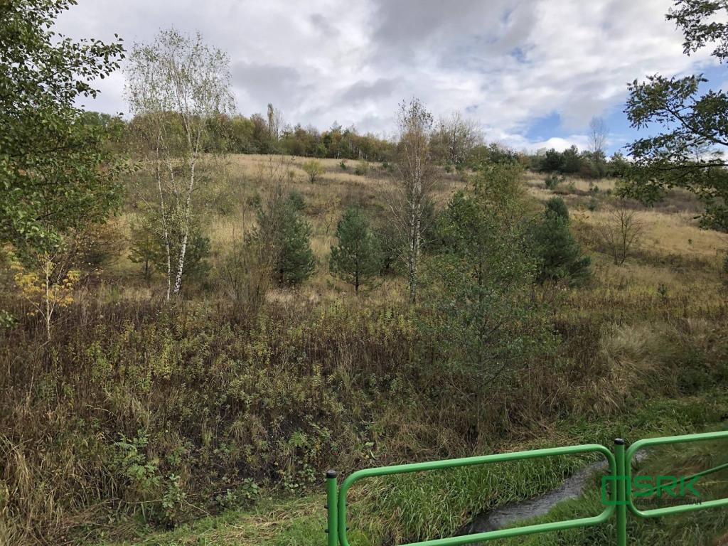 Działka inwestycyjna 2,86 ha, Świerklany, Świerklańska - zdjęcie 1