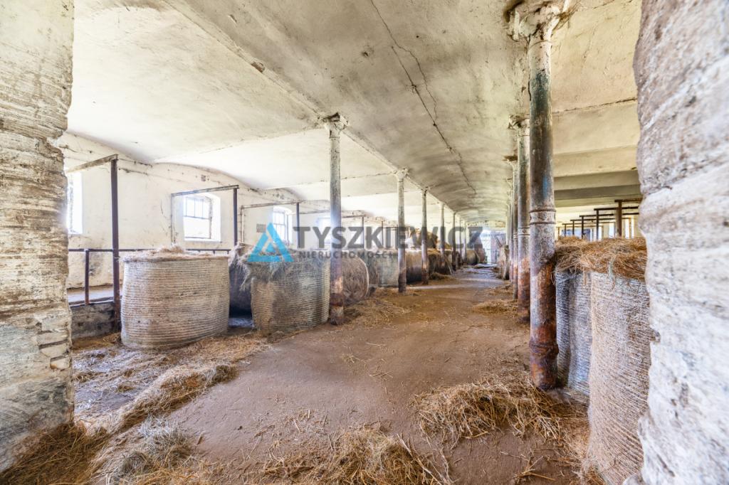 Duża Stajnia - budynek gospodarczy Żelazo - zdjęcie 7