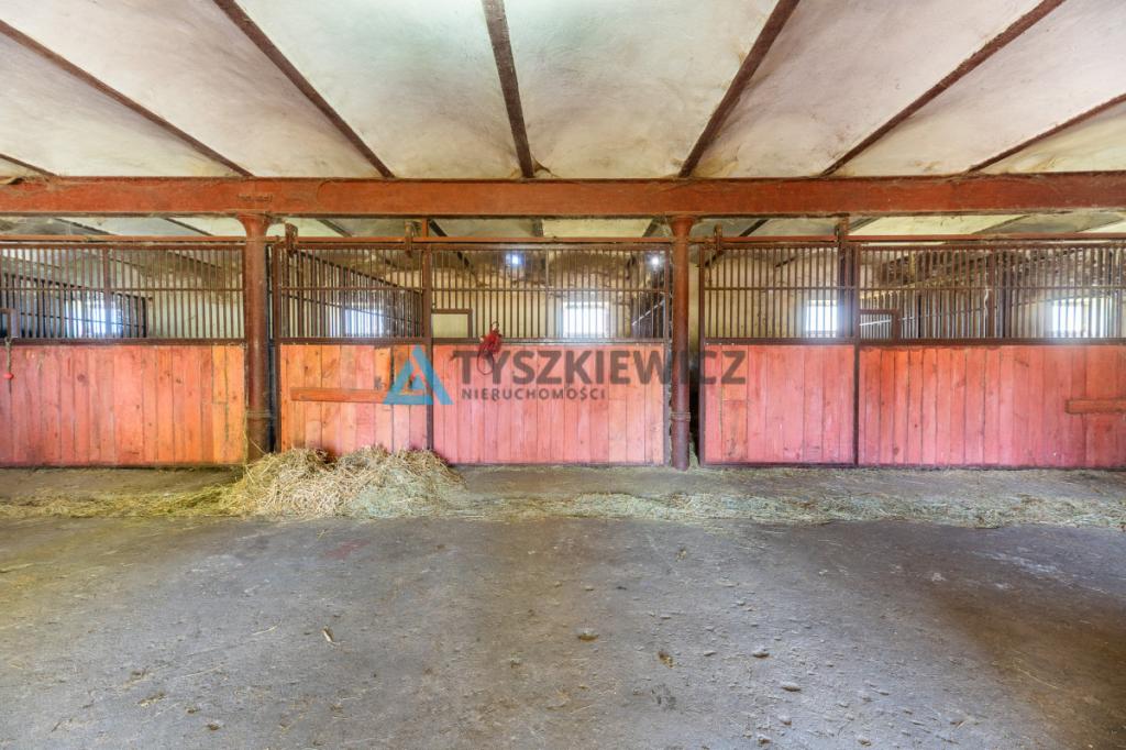 Duża Stajnia - budynek gospodarczy Żelazo - zdjęcie 5