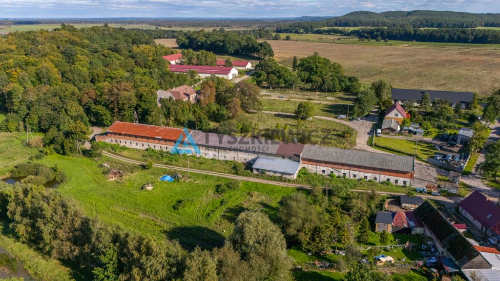 Duża Stajnia - budynek gospodarczy Żelazo - zdjęcie 16